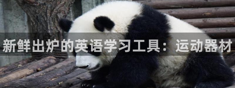 风速体育官网下载平台是正规平台吗:新鲜出炉的英语学习工具:运